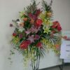 Thumbnail of related posts 167