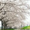 Thumbnail of related posts 174