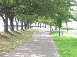 Thumbnail of related posts 188