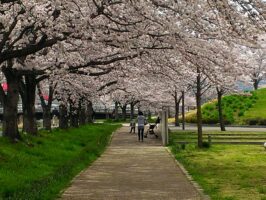 Thumbnail of related posts 149
