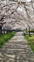 Thumbnail of related posts 078
