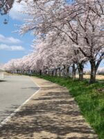 Thumbnail of related posts 039