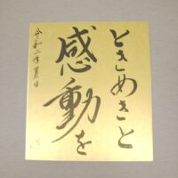 Thumbnail of related posts 199