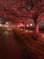 Thumbnail of related posts 183