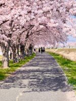 Thumbnail of related posts 110