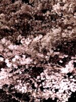 Thumbnail of related posts 065