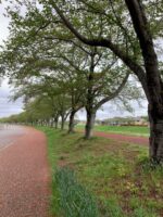 Thumbnail of related posts 153