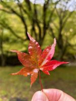 Thumbnail of related posts 122