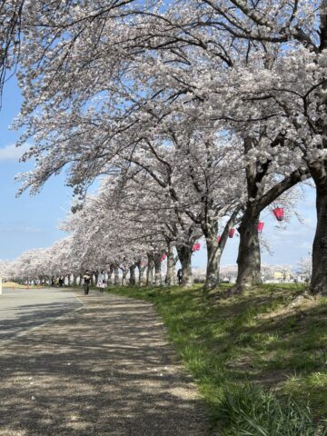 Thumbnail of post image 027