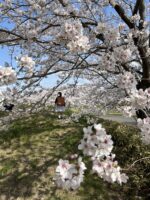 Thumbnail of related posts 054